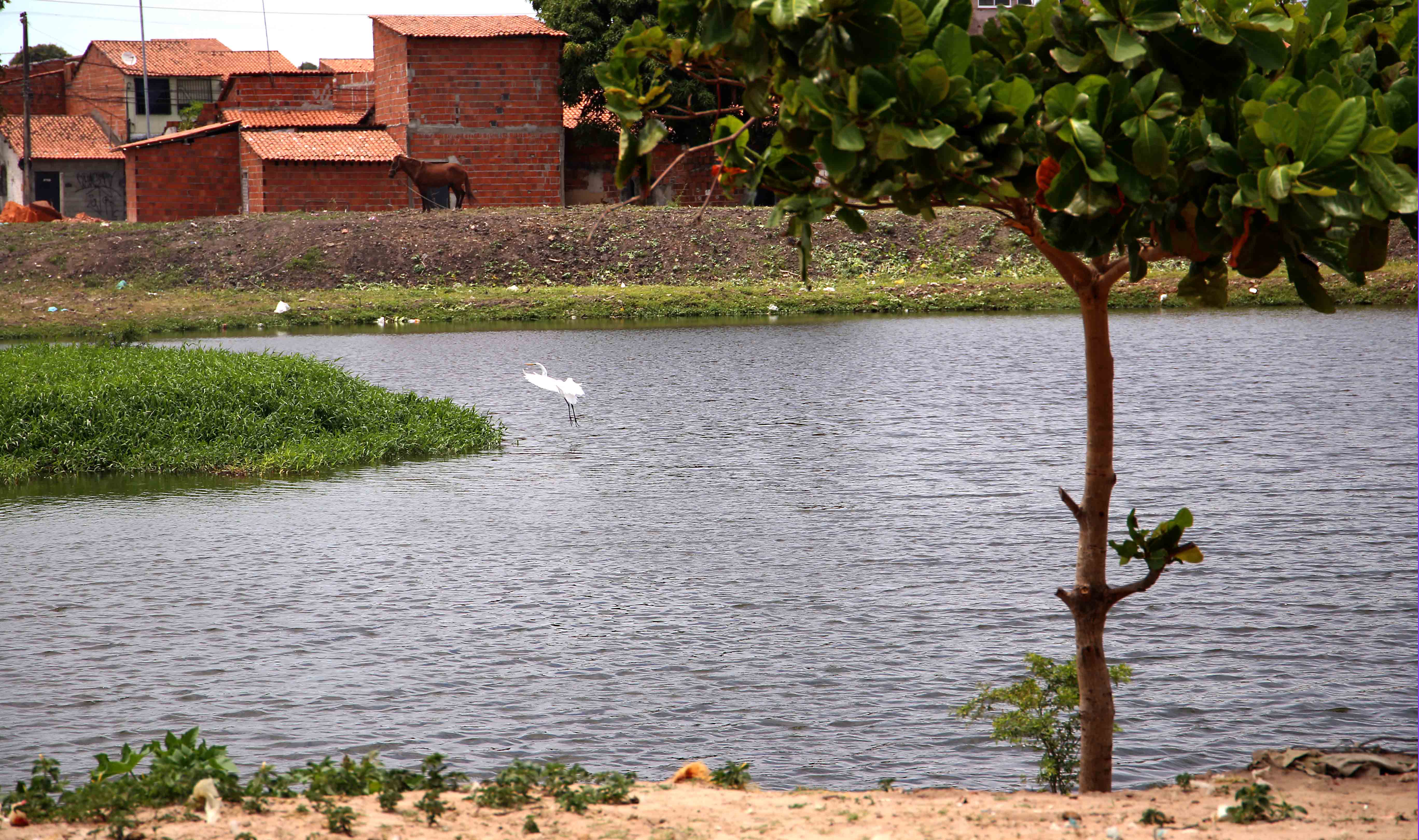 foto da lagoa